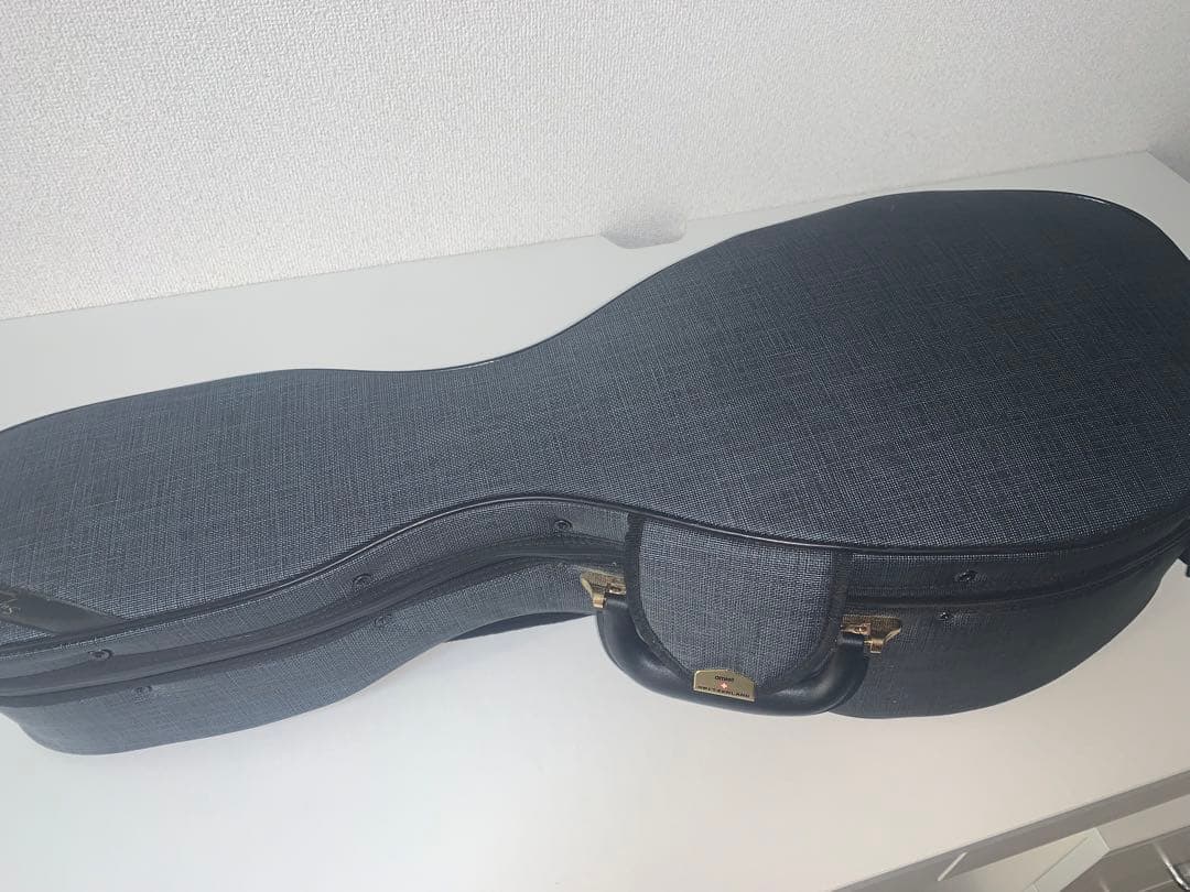 カラーチェマンドリン　No.24 2019年製