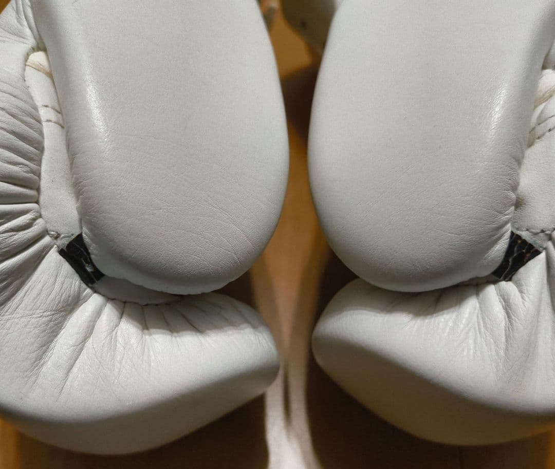 Winning ボクシンググローブ 8 oz 日本製