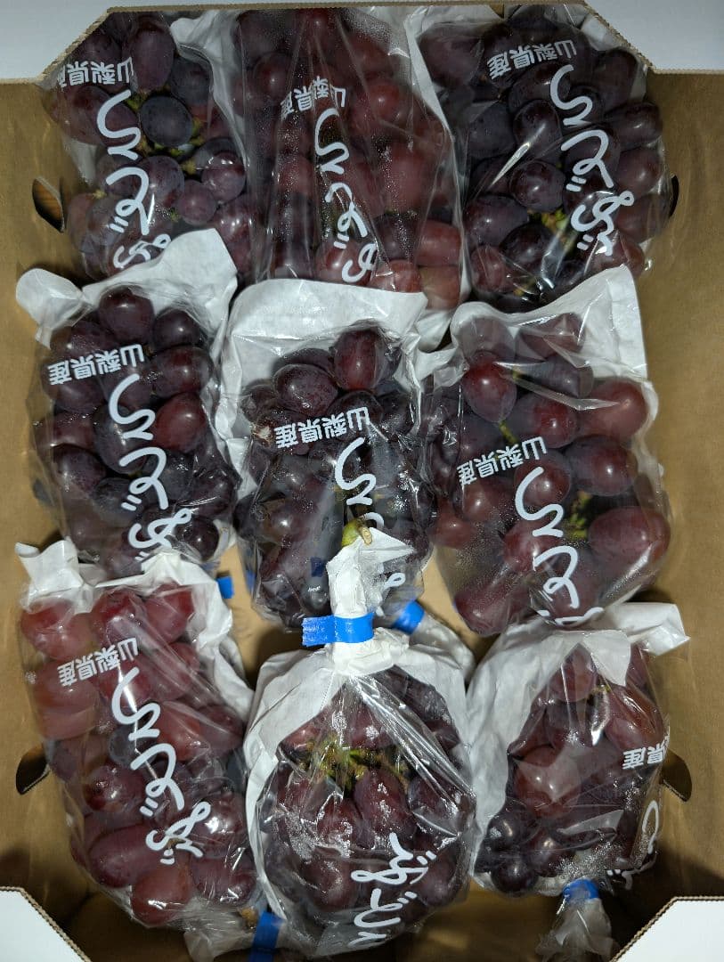 山梨県産ぶどう　富士の輝　9房入り　箱込み約5.5kg