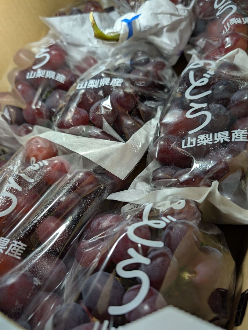 山梨県産ぶどう　富士の輝　9房入り　箱込み約5.5kg