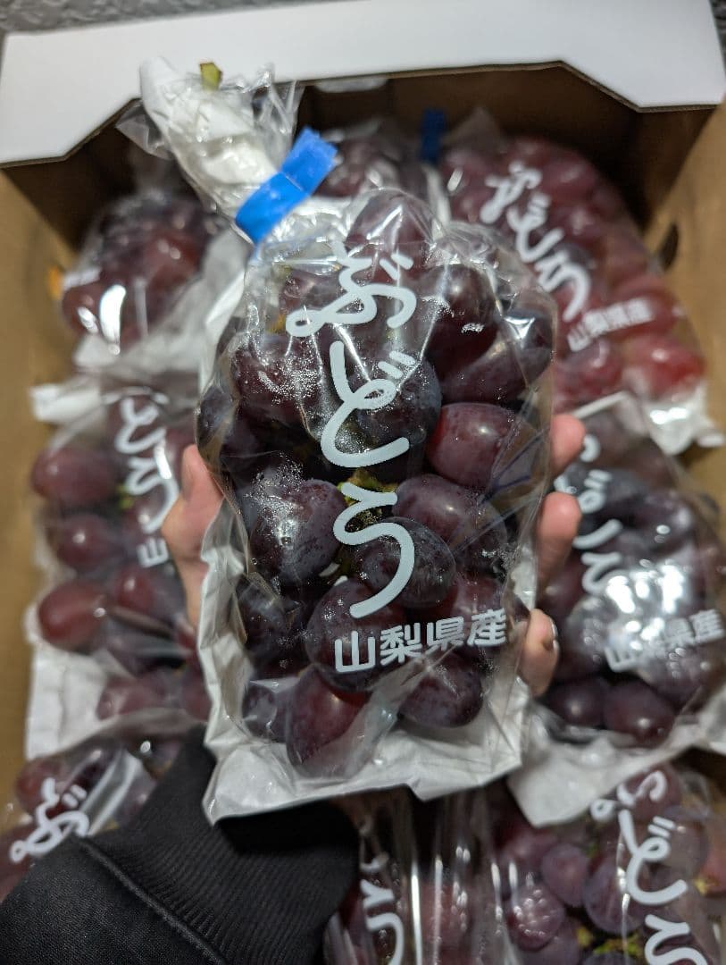 山梨県産ぶどう　富士の輝　9房入り　箱込み約5.5kg