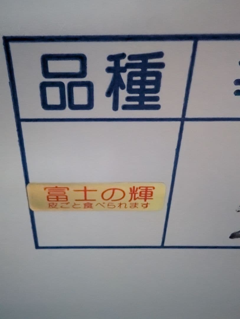 山梨県産ぶどう　富士の輝　9房入り　箱込み約5.5kg