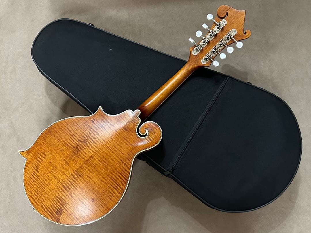 Epiphone MM-50E エレキ マンドリン エピフォン ハードケース