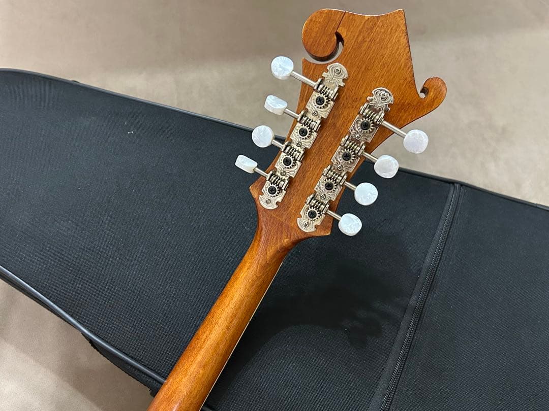Epiphone MM-50E エレキ マンドリン エピフォン ハードケース
