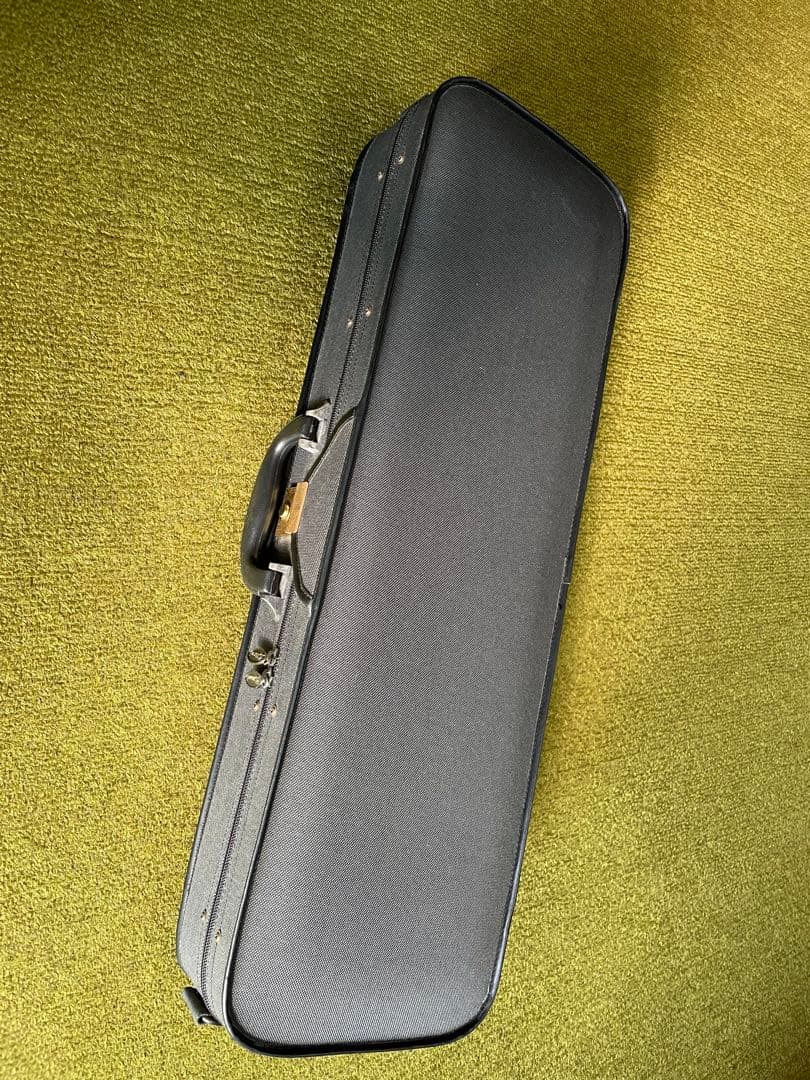 Allan drexcdll / アランドレクセル⭐️バイオリン 1/2