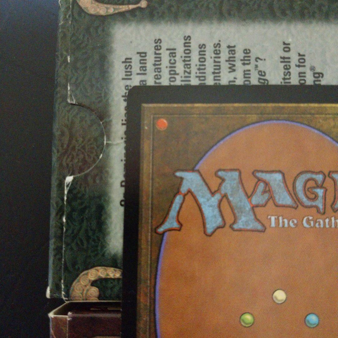 MGT 近づきがたい監視塔 日本語