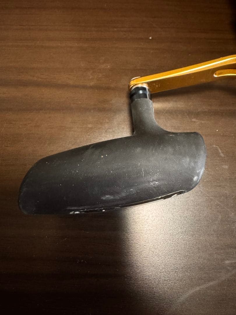 DAIWA ソルティガ IC300 HL-SJ