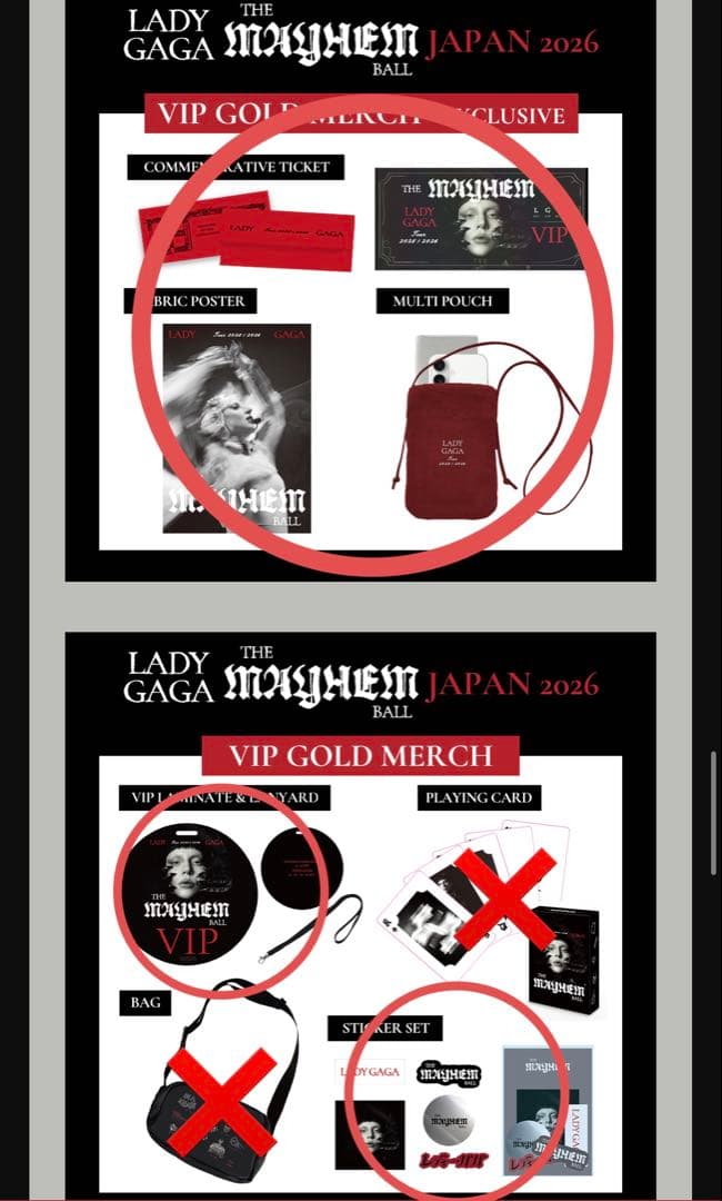 Lady Gaga The MAYHEM Ball VIP 特典