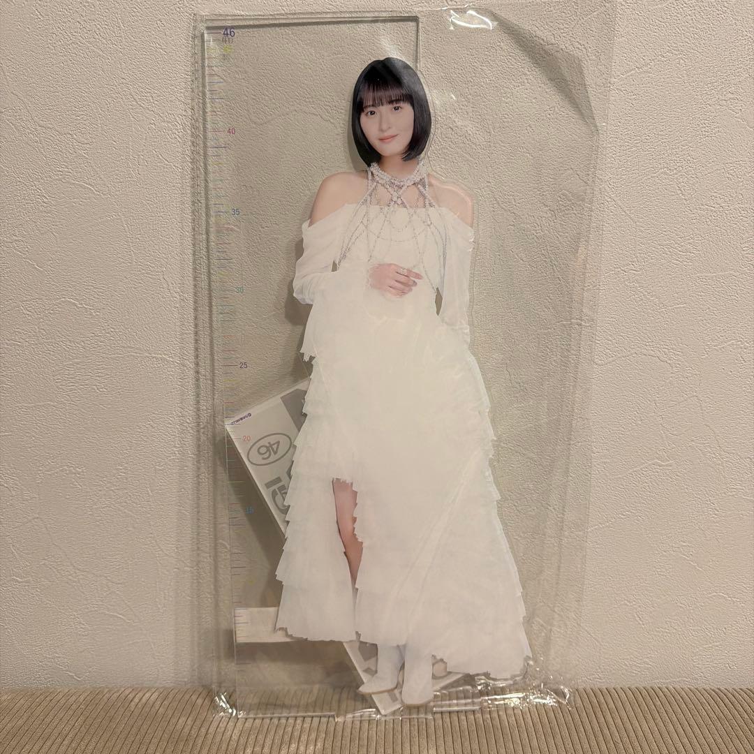 乃木坂46 遠藤さくら アクリル定規スタンド