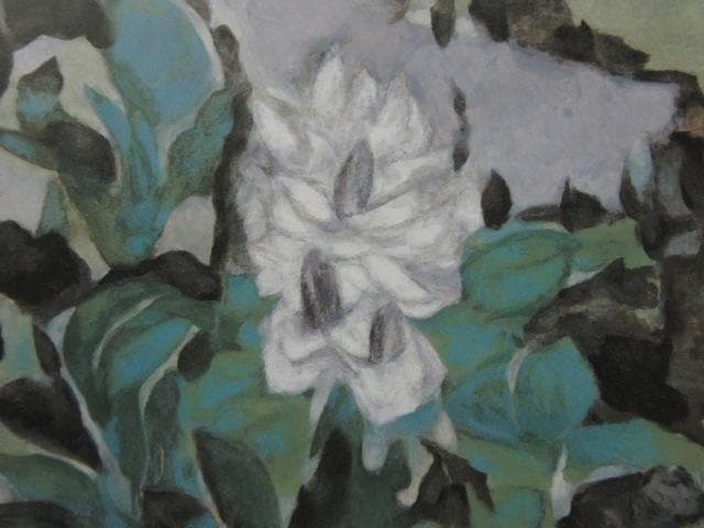 浦田正夫、【白い花】、希少な額装用画集より、新品額装付