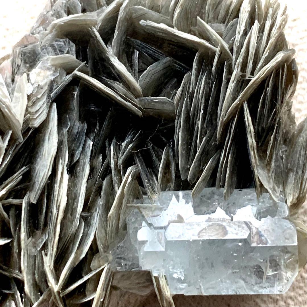 アクアマリン×モスコバイト共生標本-9