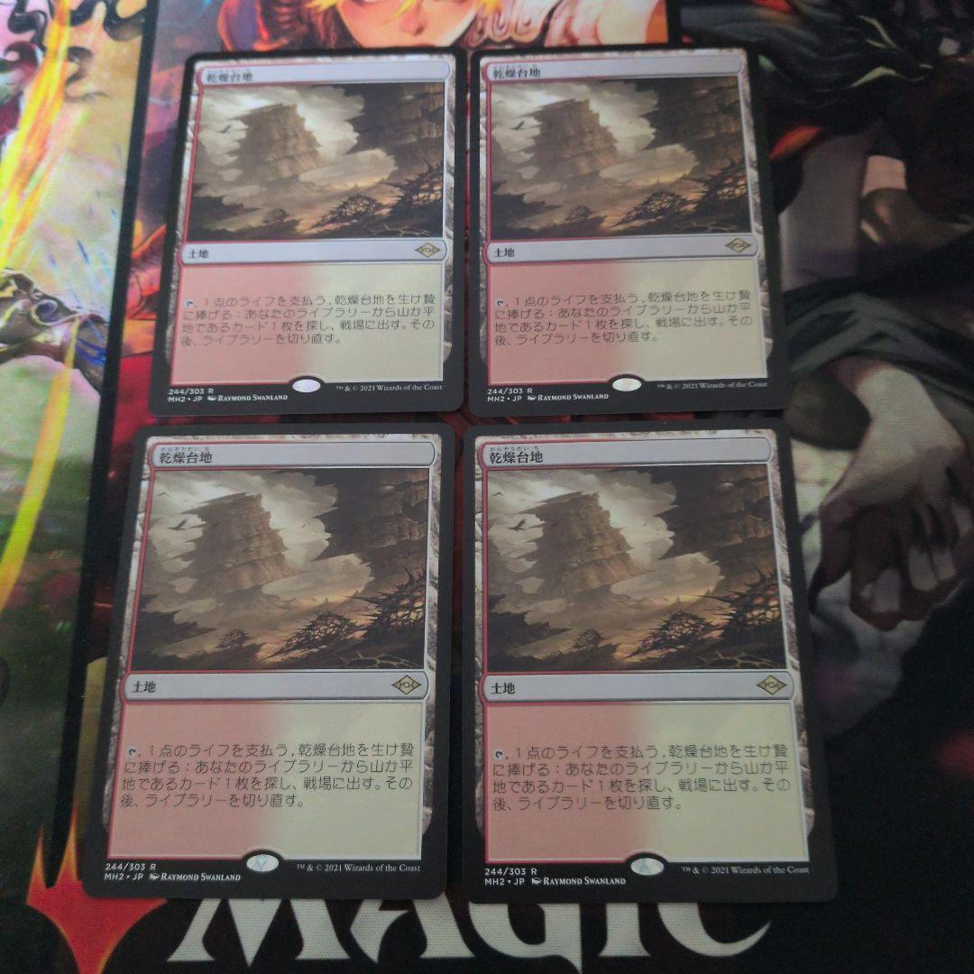 乾燥台地 4枚セット