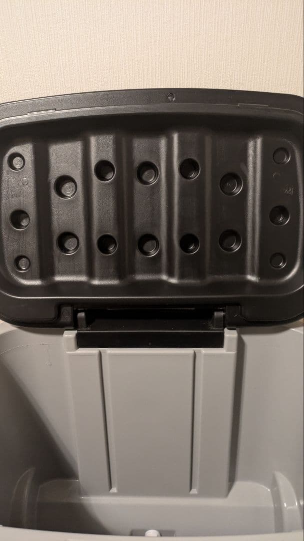 激レア　マキシマム ザ ホルモン　Monster　クーラーボックス　非売品