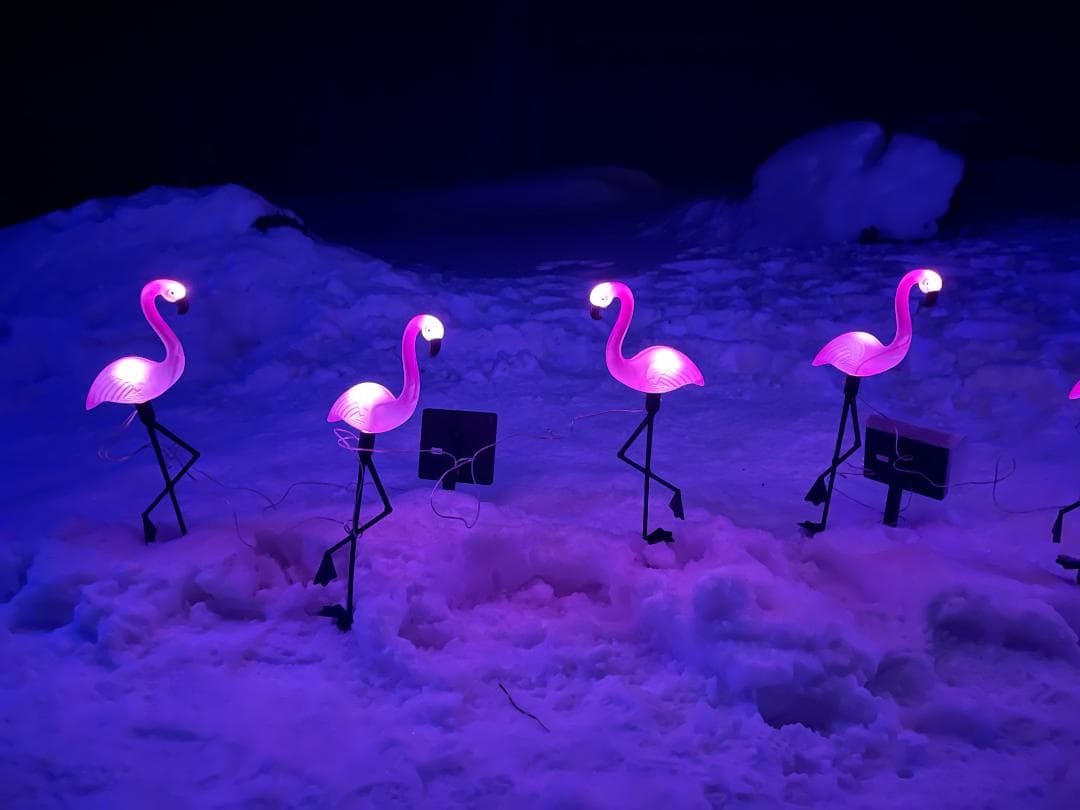 ソーラー IP65防水 LED 取付簡単 フラミンゴガーデンライト 三つセット