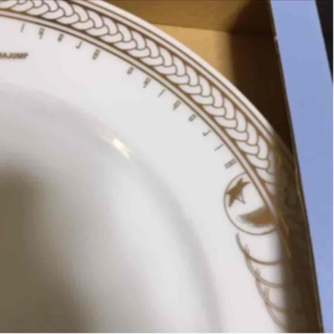 ジョジョ 荒木飛呂彦 8部 ジョジョリオン お皿 アートプレート