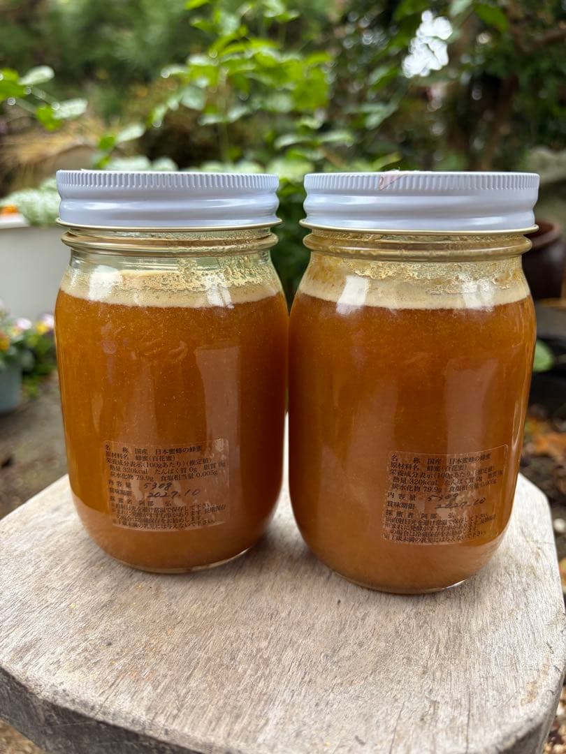 はちみつ　日本蜜蜂のハチミツ　奥山の蜂蜜　　巣箱違い谷違いの花粉入りはちみつ