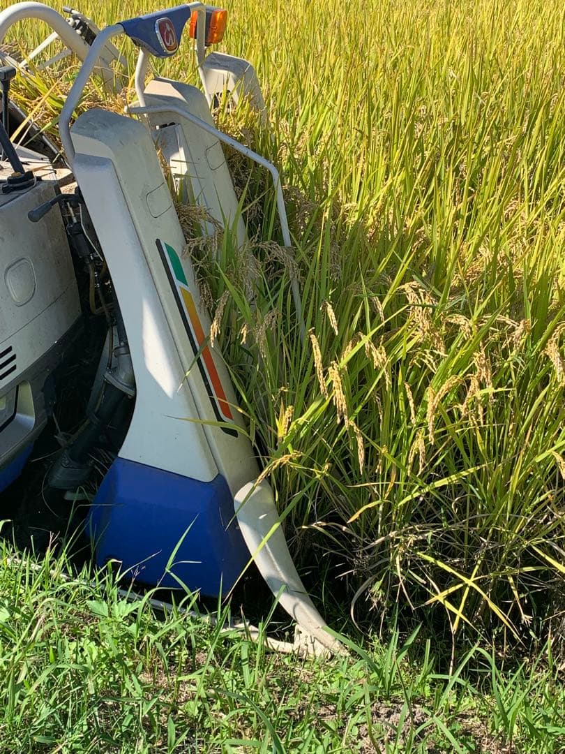 令和7年度　新米　ヒノヒカリ20kg(玄米)送料込　農家保有米