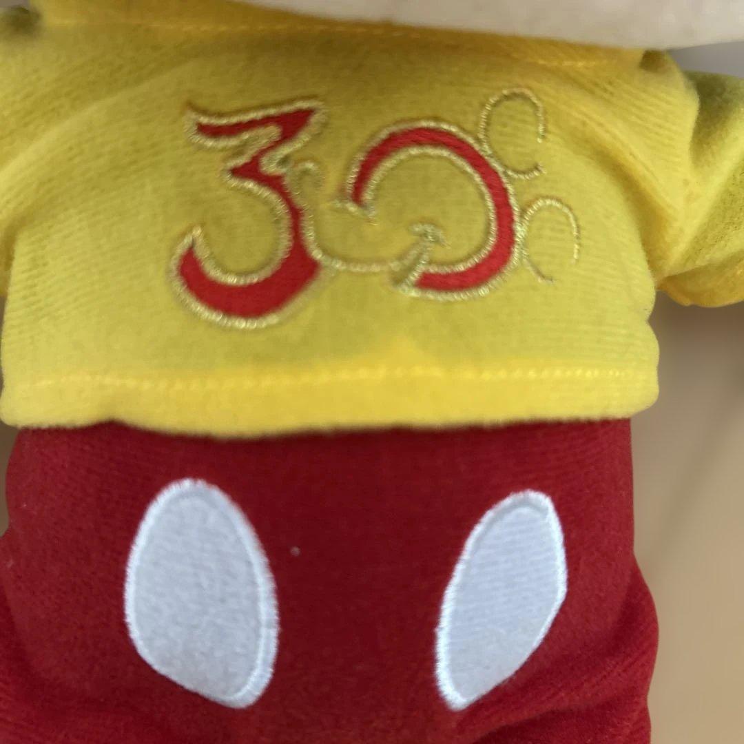 限定ミッキー・ミニー ぬいぐるみセット 30周年