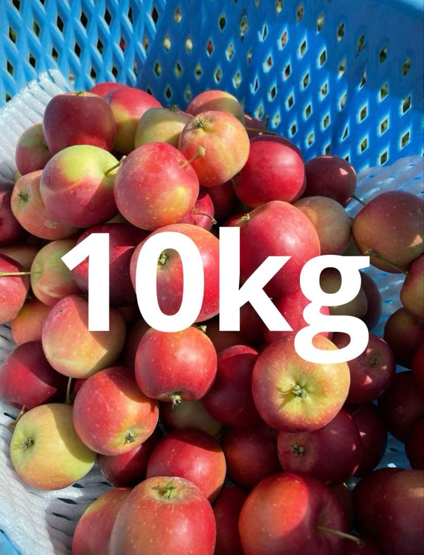 長野県産アルプス乙女（姫りんご）10kg