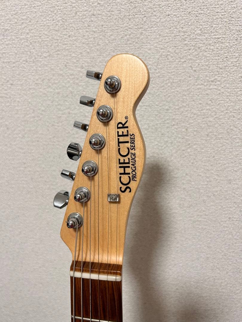 SCHECTER ( シェクター ) PA-LS/TK
