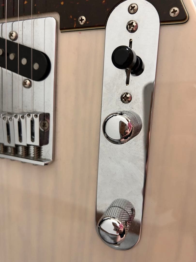 SCHECTER ( シェクター ) PA-LS/TK