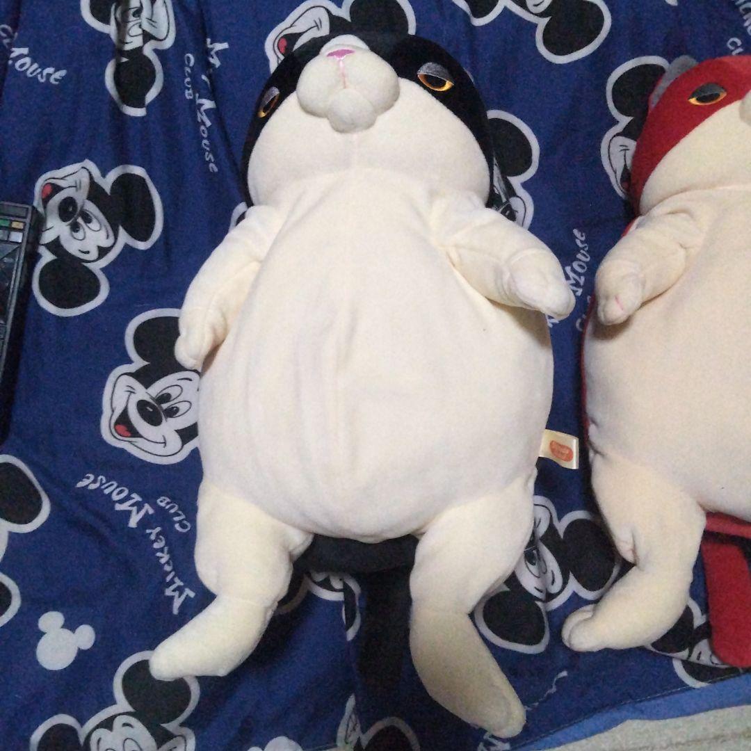 今日までこの値段です２月～全部値段上がります高橋ヒロムぬいぐるみ ２匹セット