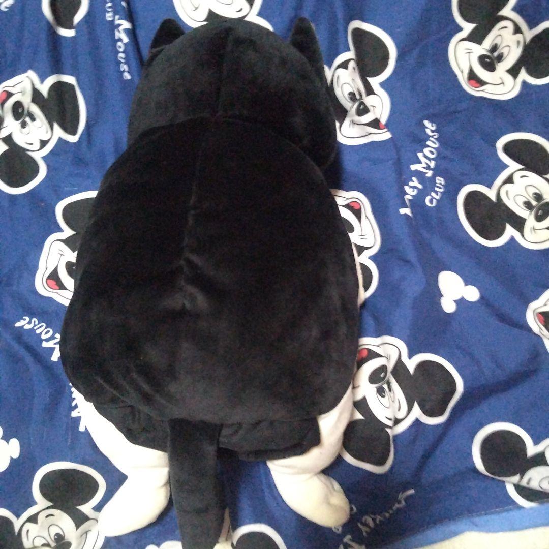 今日までこの値段です２月～全部値段上がります高橋ヒロムぬいぐるみ ２匹セット