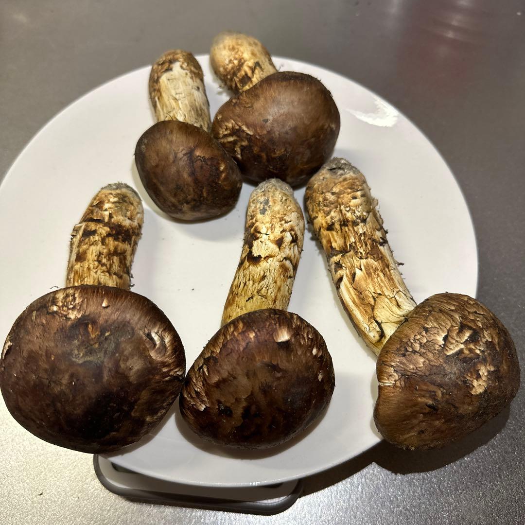 ミキちゃ3点おまとめ