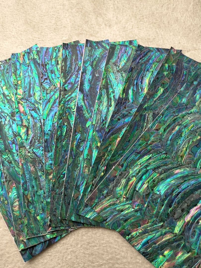 アワビシート　10枚セット　メキシコブラック