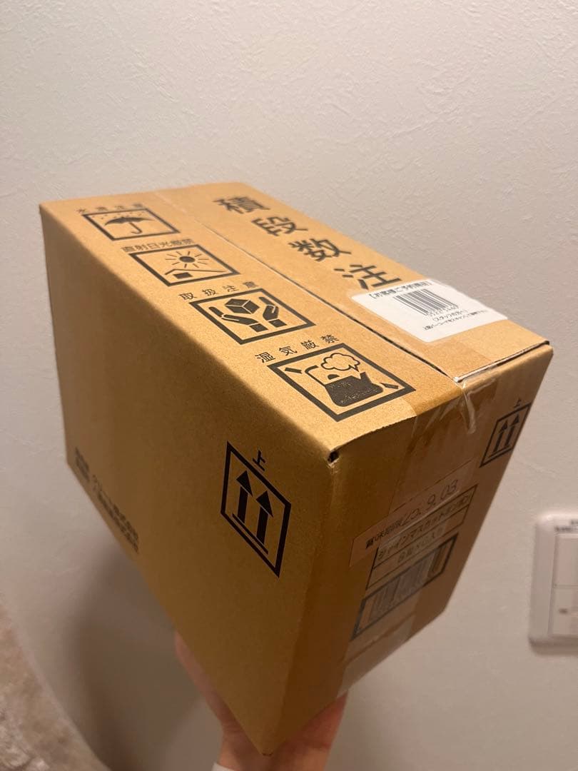 シャインマスカットボンボン 6袋入り