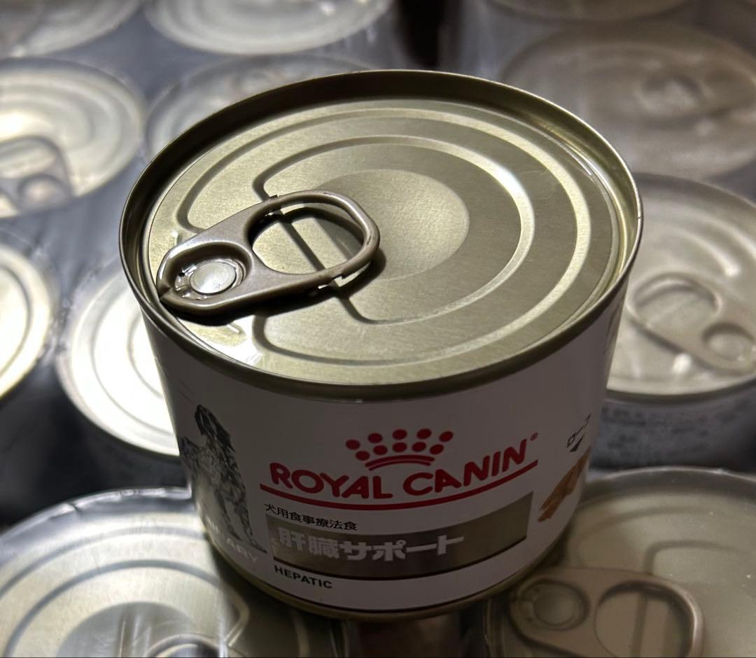 本日限り‼️犬用肝臓サポート療法食 21缶入り