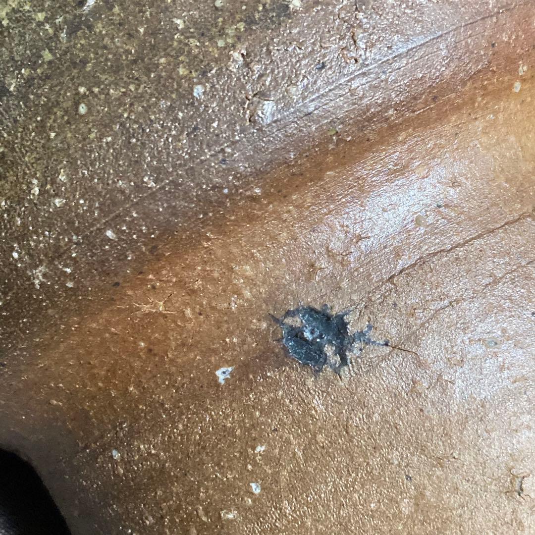 お値下げ↓古信楽 自然釉花入【茶道具】信楽焼 耳付 26㎝ 釉薬流し 花瓶 花器