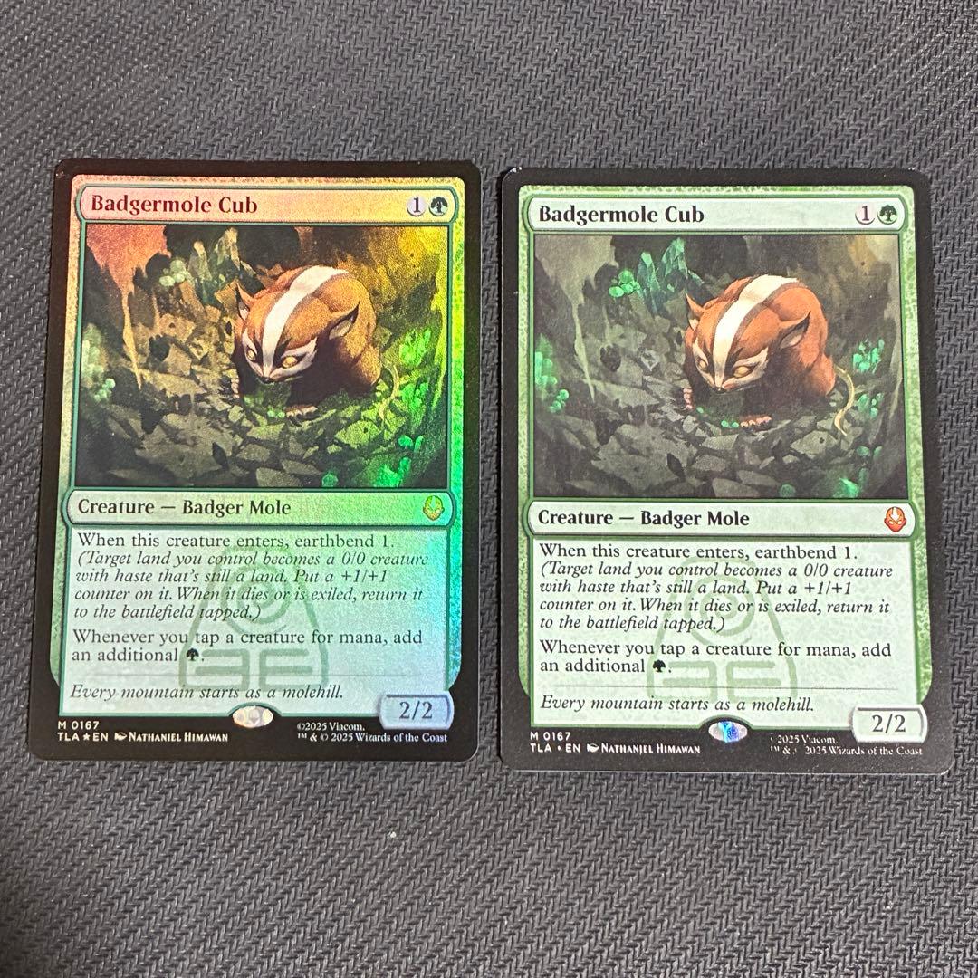 アナグマモグラの仔　2枚　英語　mtg