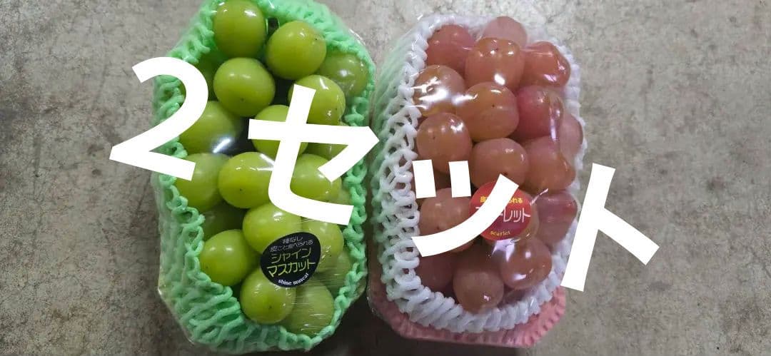 家庭用　シャインマスカットとスカーレット　二房　1.2kg以上