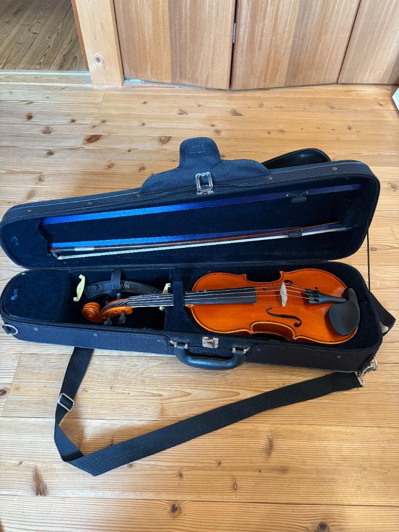 ヴァイオリン Eastman Strings VL80 4/4 2021年