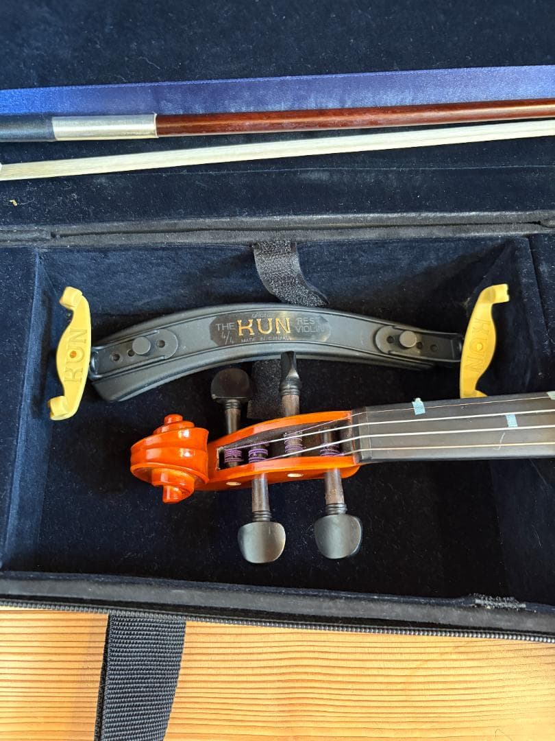 ヴァイオリン Eastman Strings VL80 4/4 2021年