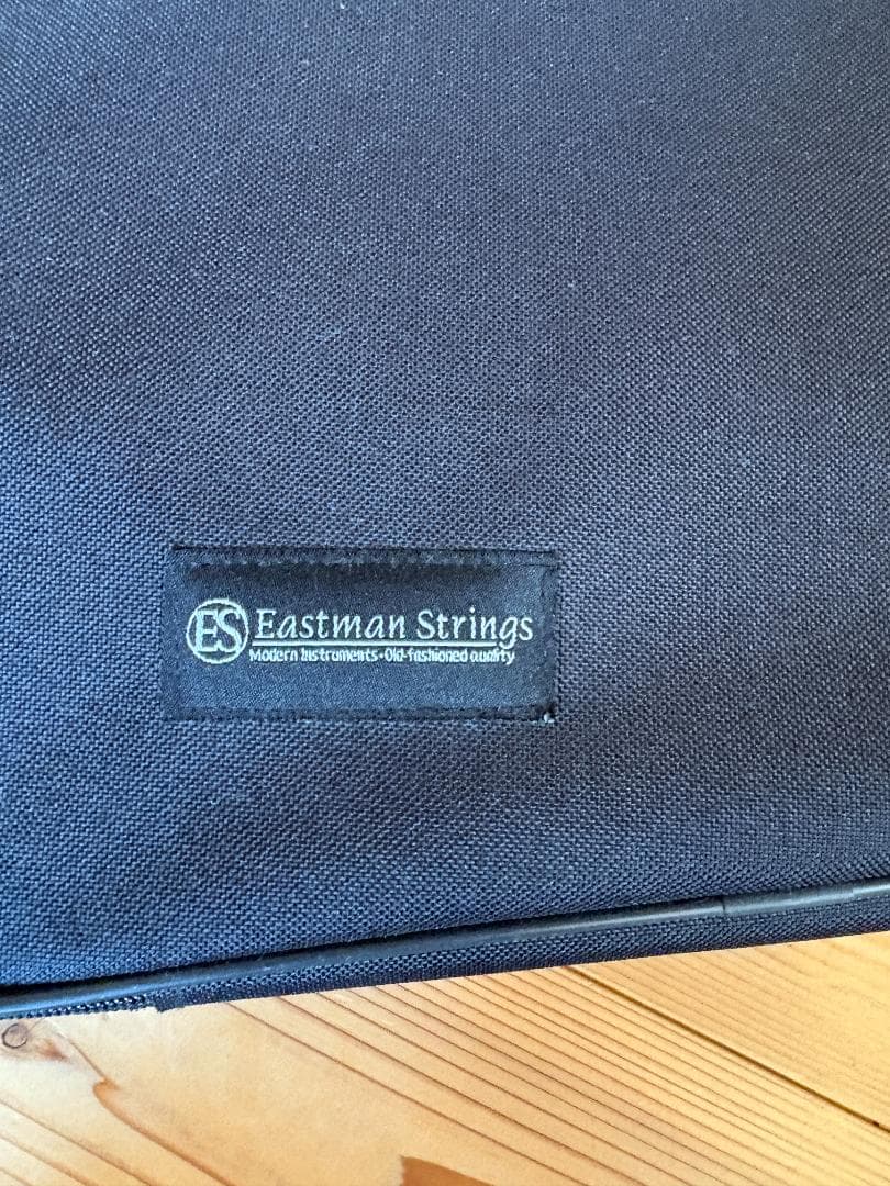 ヴァイオリン Eastman Strings VL80 4/4 2021年