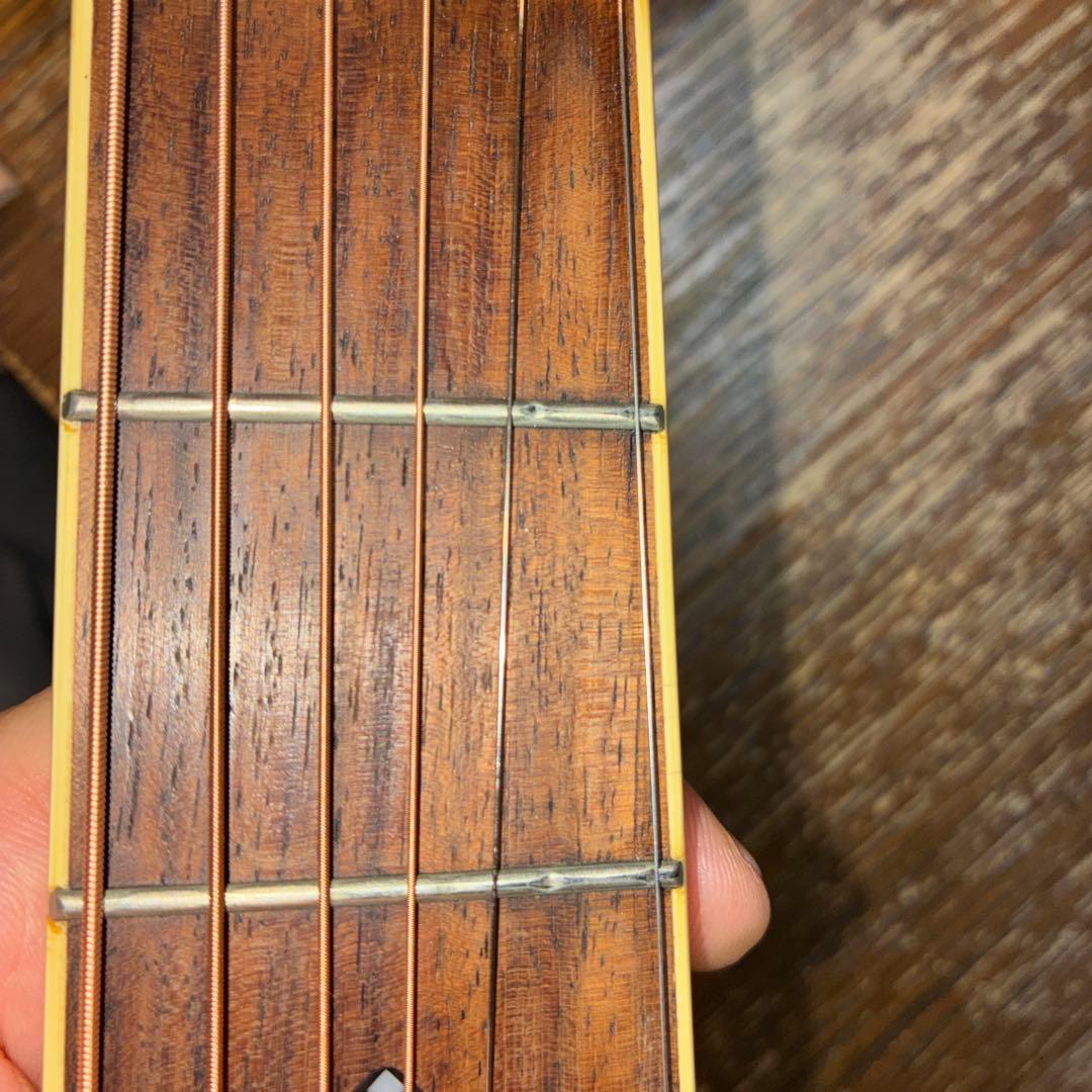 Greg Bennett D-8 アコースティックギター