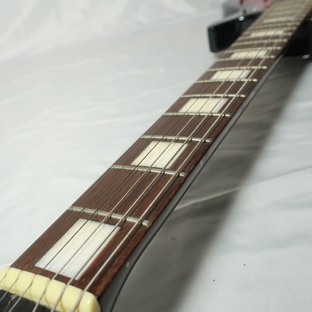 GrassRoots LUNA SEA INORANモデル エレキ ケース付