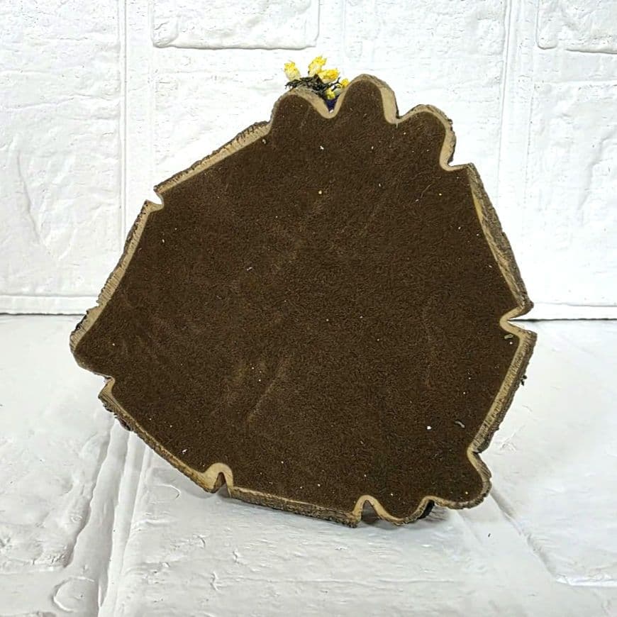 【となりのトトロ】雑木林の遊園地　トトロのお砂場あそび　箱あり　未使用　希少