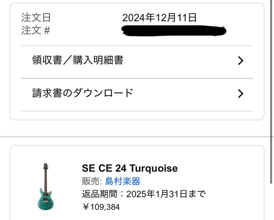 ポールリードスミス SE CE 24 Turquoise ターコイズ