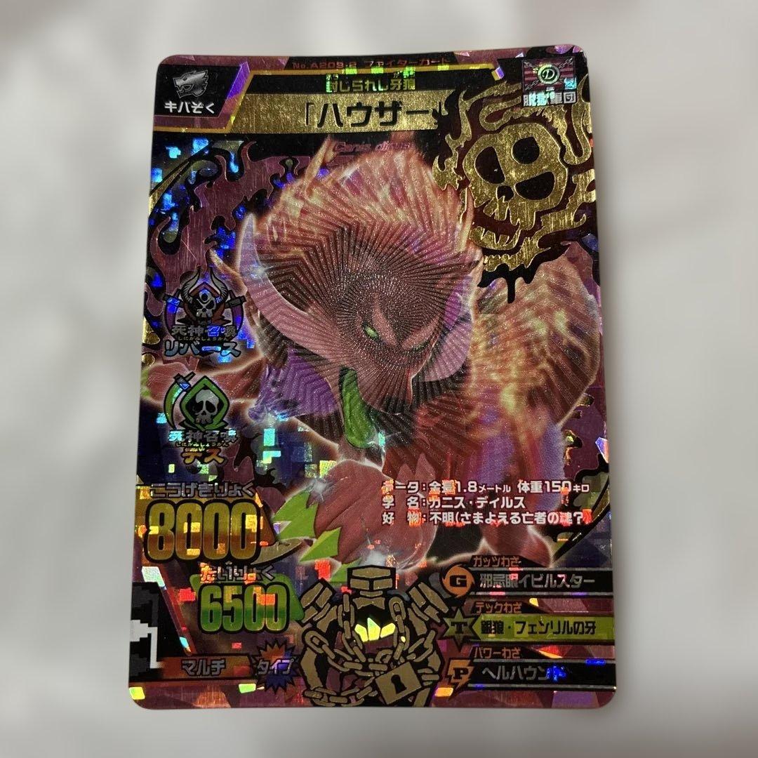 唐揚げ　トンカツ様