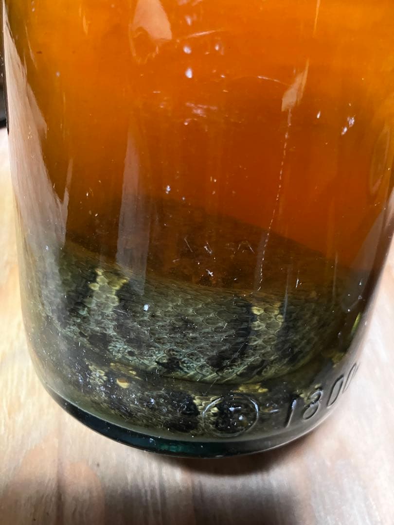 琥珀色の焼酎 マムシ酒(2本セット