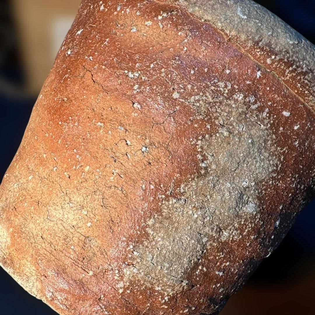 澤清嗣作　信楽焼　信楽鬼桶水指 陶器 水差し 茶色 円筒形 木箱付き