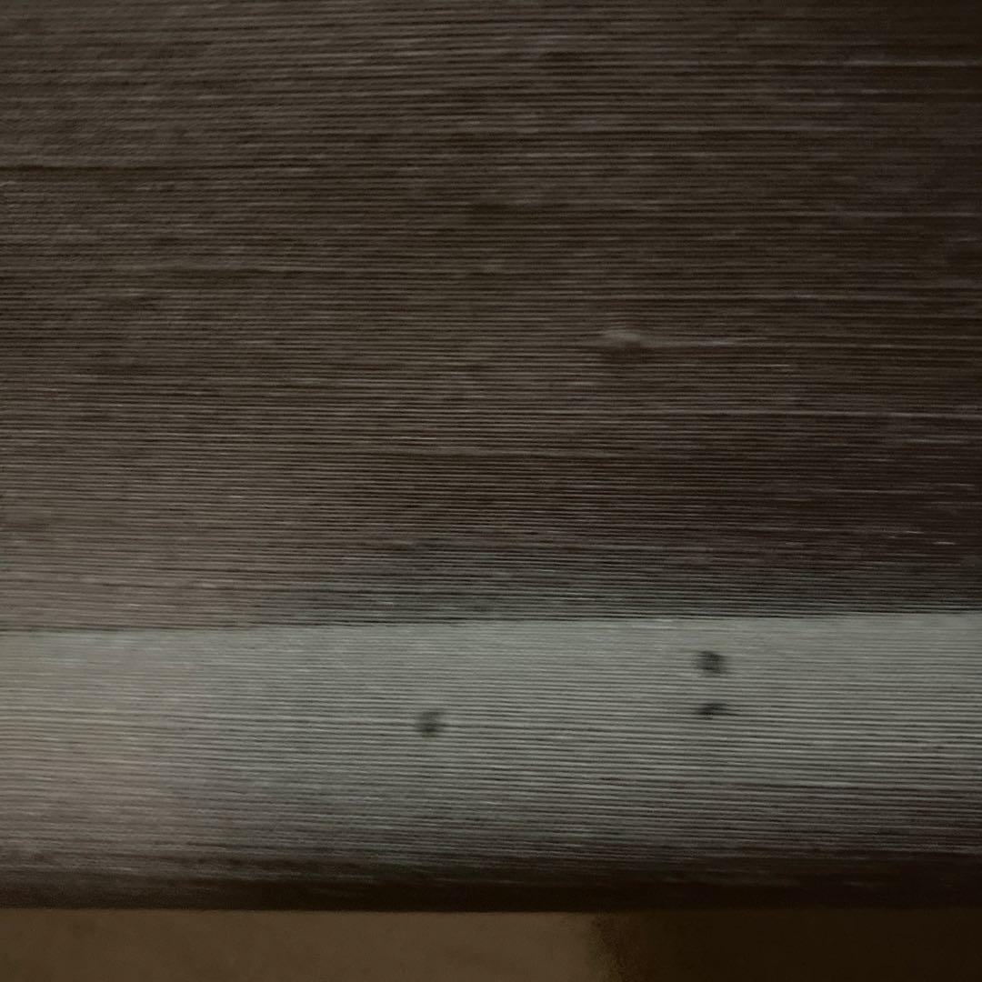 掛軸 清坐一味友　立花大亀老師筆　一行書