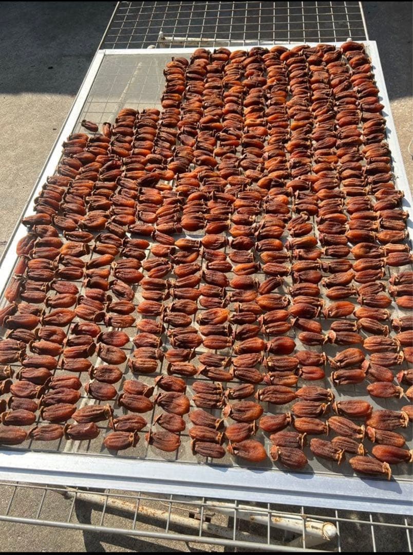 西条柿　干し柿３キロ　りこ