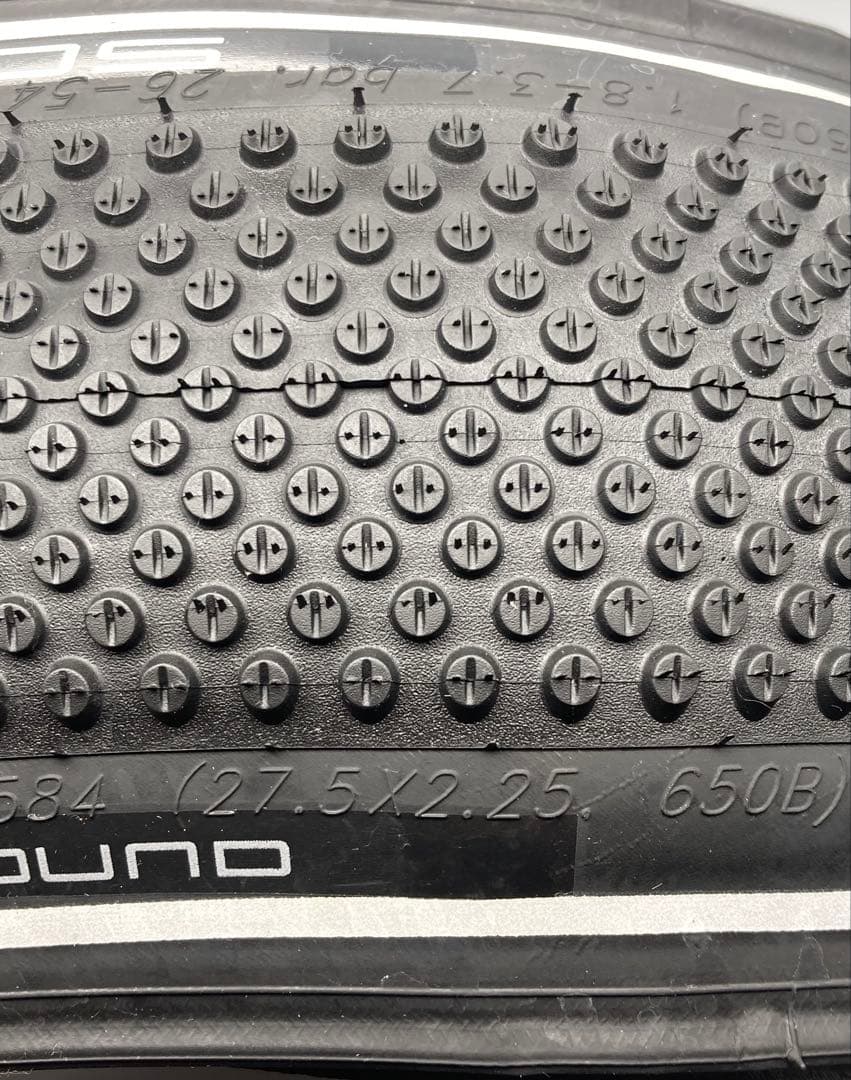 schwalbe g-one allround 27.5×2.25 2本
