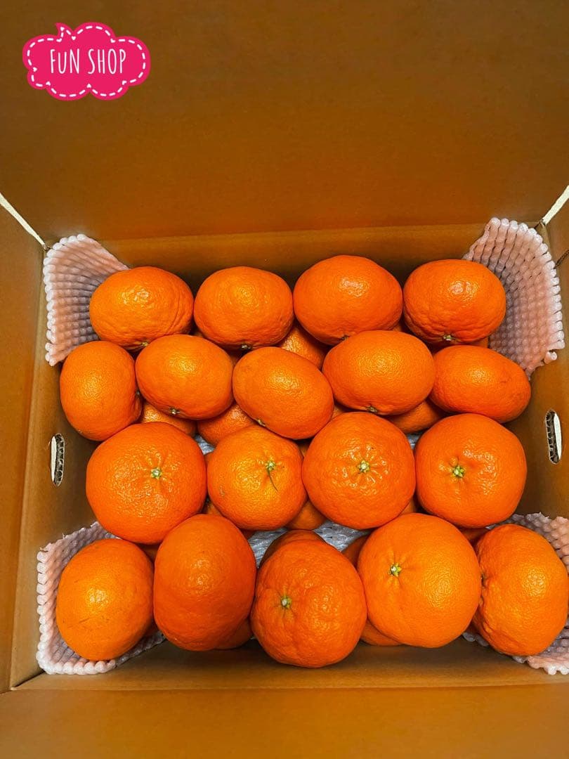 【甘平・高級品→お年明け1月中旬から発送】