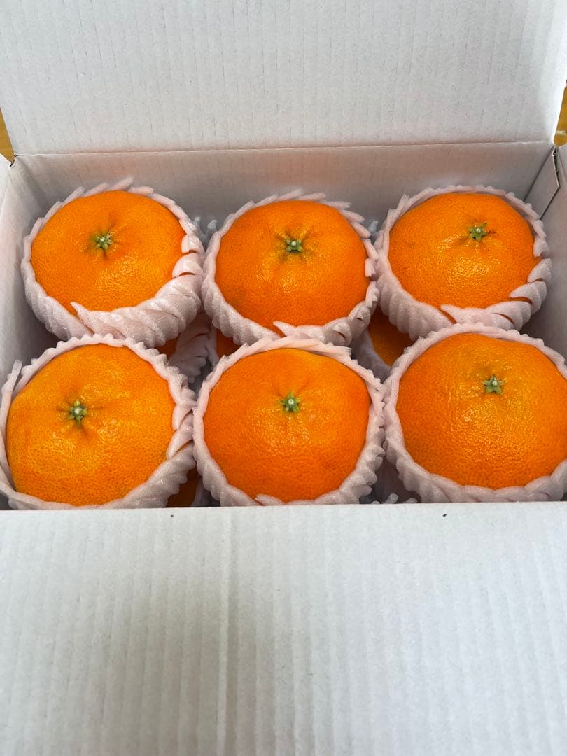 【甘平・高級品→お年明け1月中旬から発送】