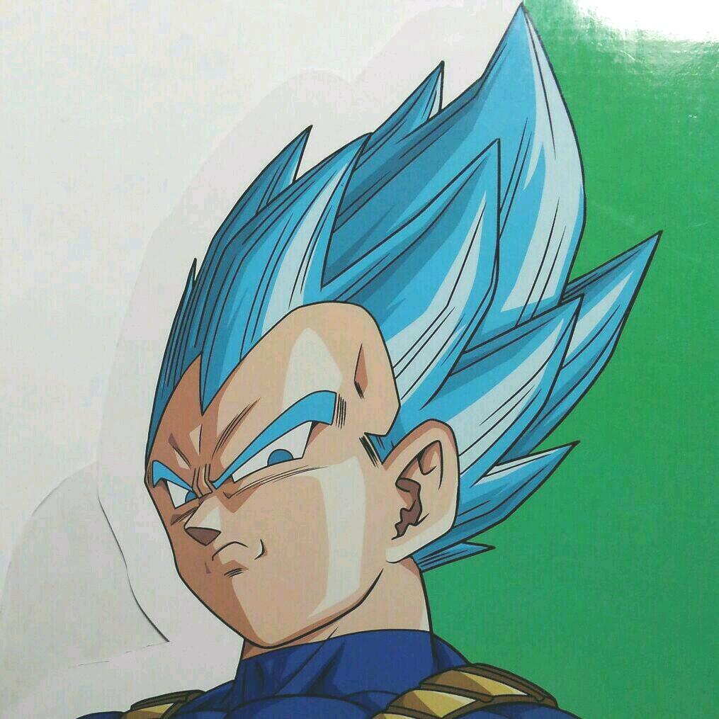 DRAGON BALL  ドラゴンボール　ベジータ　全身ボードパネル